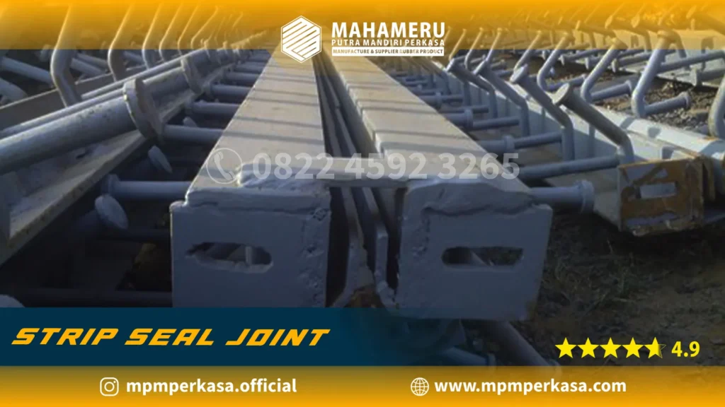 Expansion Joint Strip Seal